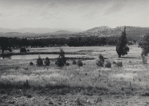 Paddock of Thomas Moran, Tuggeranong, from Monaro Highway west from the southern end of the concrete barrier. The suburbs of Tuggeranong are visible in the background