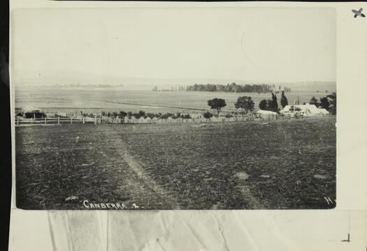 A view of Canberra showing an orchard with a house in the middle distance. There is also a large clump of trees to the right far distance. This appears to be a Howard & Shearsby postcard but the right side of the image has been cut off.