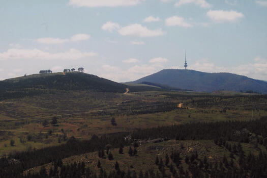 View from Misery Hill north to Dairy Farmers Hill showing Canberra International Arboretum, Black Mountain, Telstra Tower and pine forests.