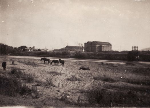Power Station area, Kingston, and Molonglo River; four horses are in a paddock in the foreground opposite the power station.
