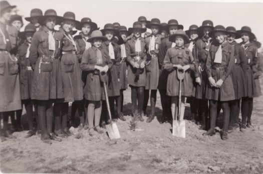 Guides tree planting