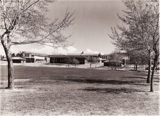 Telopea Park School from across school oval