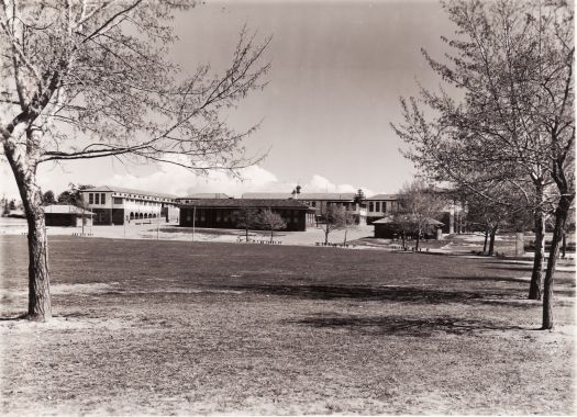 Telopea Park School 