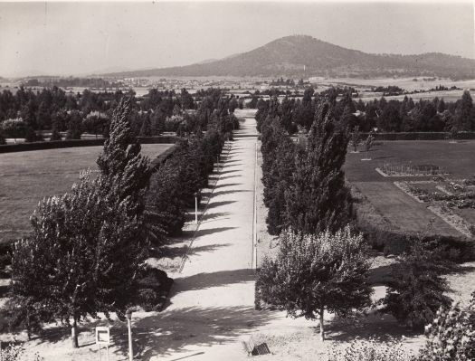 View from West Block towards Mt Ainslie, before construction of the Treasury Building.