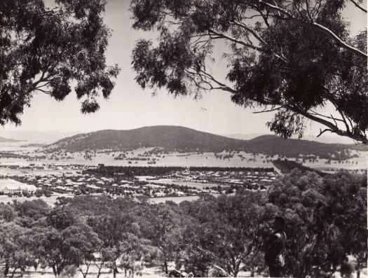 City, Braddon from Mt Ainslie, with man in foreground