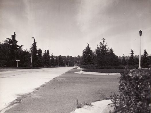 Commonwealth Avenue from near Albert Hall 