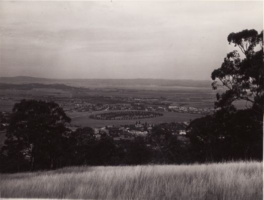 View from Red Hill over Collins Park to Mt. Pleasant and the Causeway