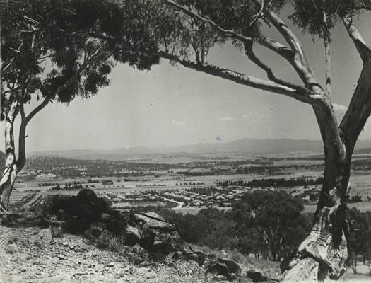 View from Mt Ainslie 