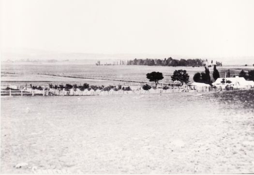 From behind Ainslie Post Office, view south west to St John's with Glebe House in the background