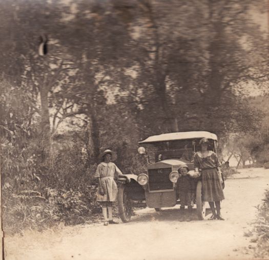 Family with car