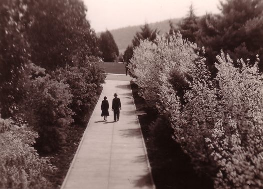 Picturesque pathway near Parliament House