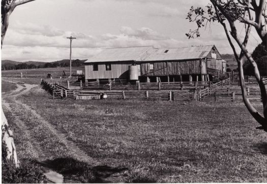 Erindale shearing shed 