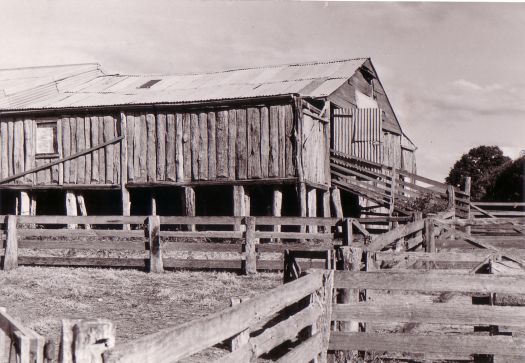 Shearing shed at Erindale from the west