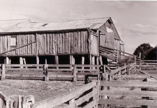 Shearing shed at Erindale