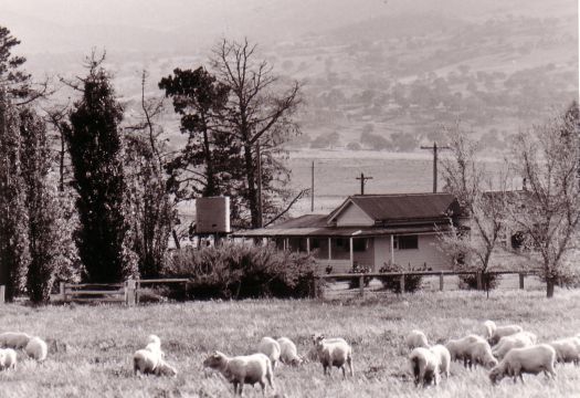 Erindale Homestead