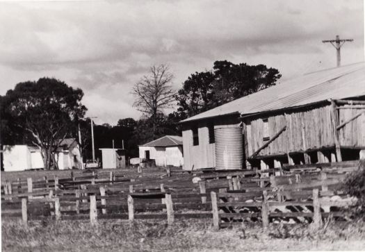 Shearing shed and huts at Erindale from the south