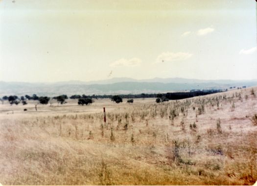 Panorama from Erindale block near Monaro Highway, Kambah Pine Plantation on right.  Site now part of Chisholm, Tuggeranong.