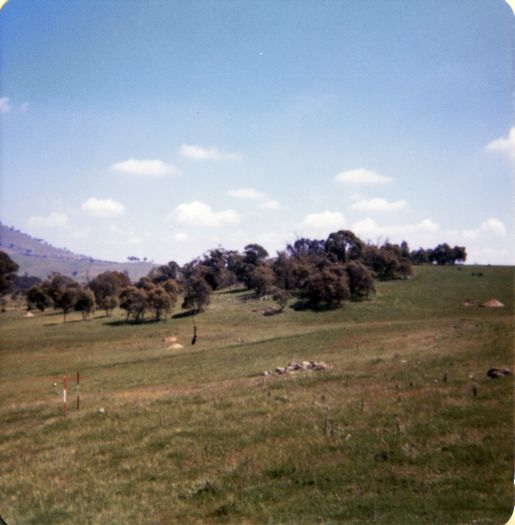 View north towards Mt Taylor from John Garran's Erindale property.