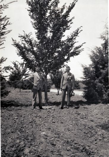 CS Daley standing next to newly planted rows of trees