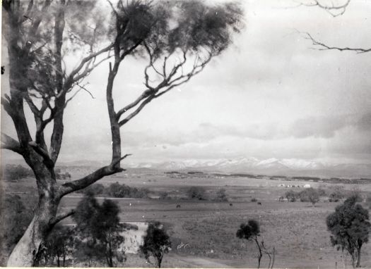 View towards snow covered mountains