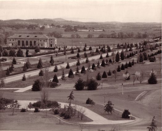 View from the roof of West Block across Commonwealth Avenue to Albert Hall. The Hotel Acton and Institute of Anatomy are in the background. Young trees line the streets.