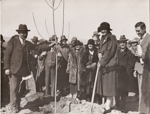 Thomas Weston holding a tree and Mrs Richard Gipps, Secretary English Speaking Union, Victorian Branch, at a tree planting ceremony with Lady Baden-Powell.