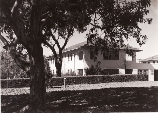 Hotel Acton from the street showing a eucalypt tree on the nature strip.