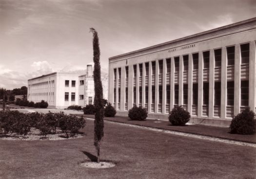CSIRO laboratories, Black Mountain, including Plant Industry building