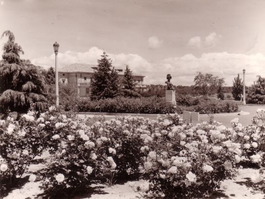 Roses, Bellona statue and Albert Hall from the south east on Commonwealth Avenue side.