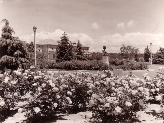 Roses, Bellona statue and Albert Hall