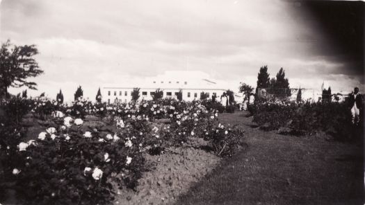 View of Parliament House from the House of Representatives Rose Garden.