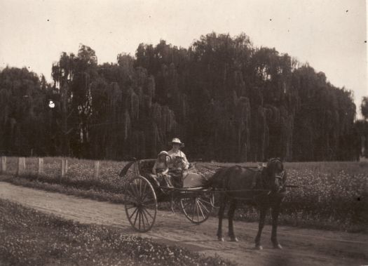 Ethel Hawes and child riding in a horse and buggy on dirt road