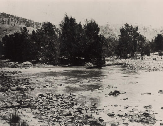 Junction of Cotter and Murrumbidgee Rivers