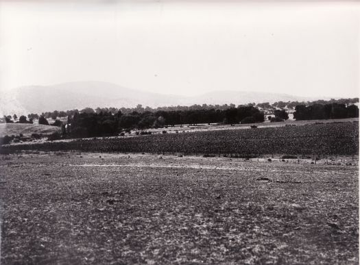 View towards NW, Black Mountain in background to left