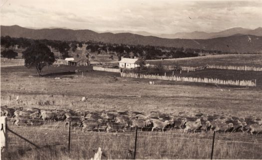 Old house on the way to the Cotter