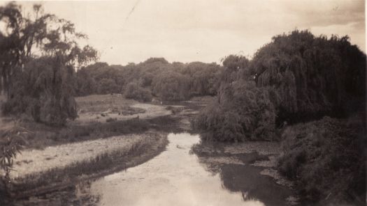 Scene of the Molonglo River lined with willow trees