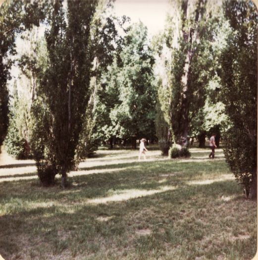 Glebe Park (Caga Centre side)