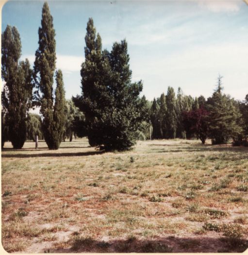 Glebe Park