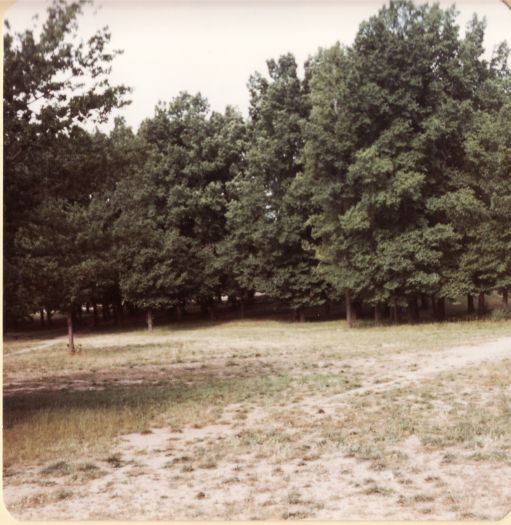 Glebe Park (Caga Centre side)