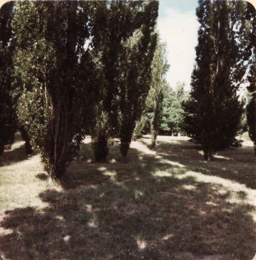 Glebe Park (Caga Centre side)