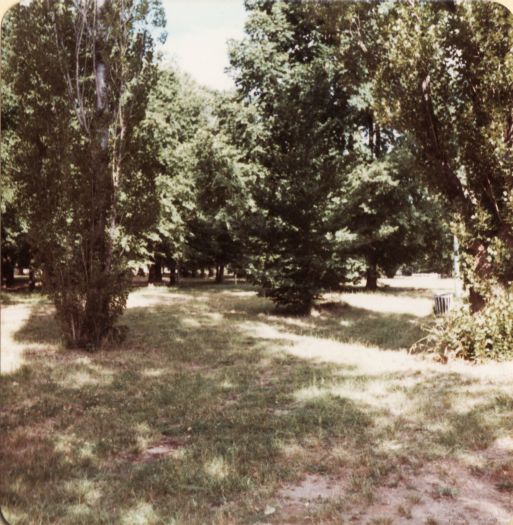 Glebe Park 