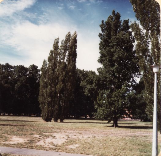 Glebe Park (Caga Centre side)