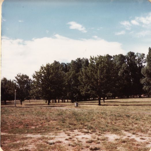 Glebe Park 