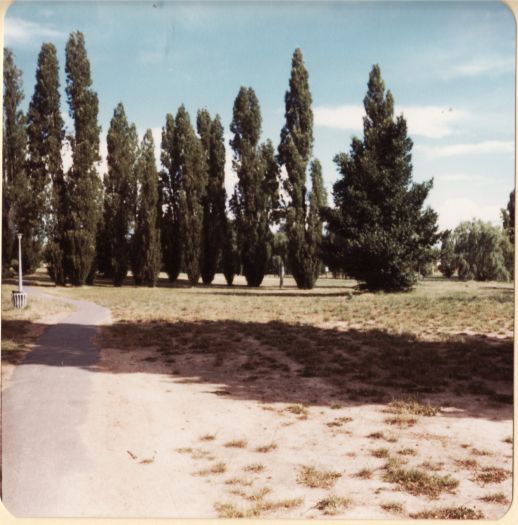 Glebe Park 