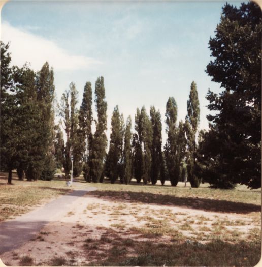 Glebe Park (Caga Centre side)