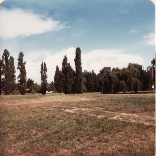 Glebe Park (Caga Centre side)