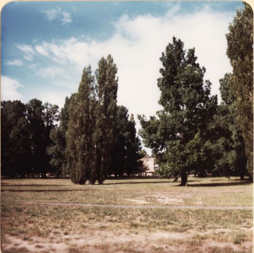 Glebe Park (Caga Centre side)