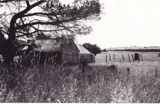 Abandoned slab cottage, Gundaroo