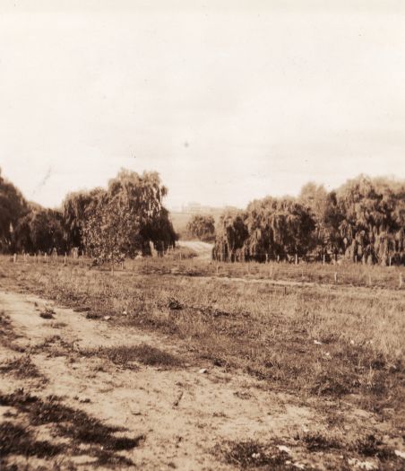 Molonglo River