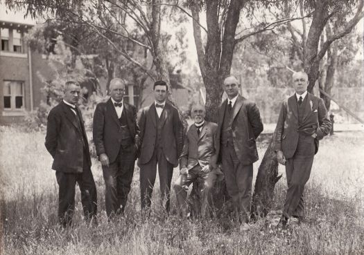 Public servants under tree